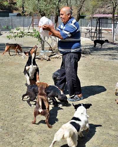 dierenvrijwilligers foto 1