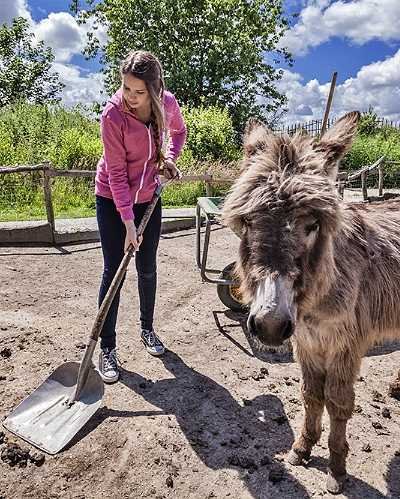 dierenvrijwilligers foto 1